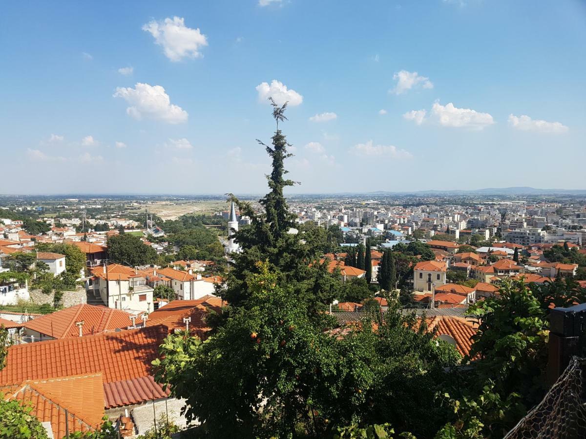 Safe And Cozy Studio In Xanthi! Bagian luar foto